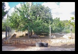 Pafos Zoo -30-05-2017 - Bogdan Balaban